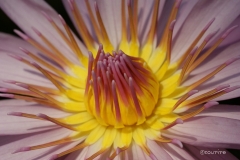 2008-06-14