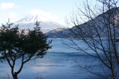 2010-02-06