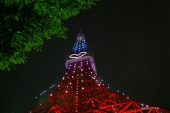 2010-12-26